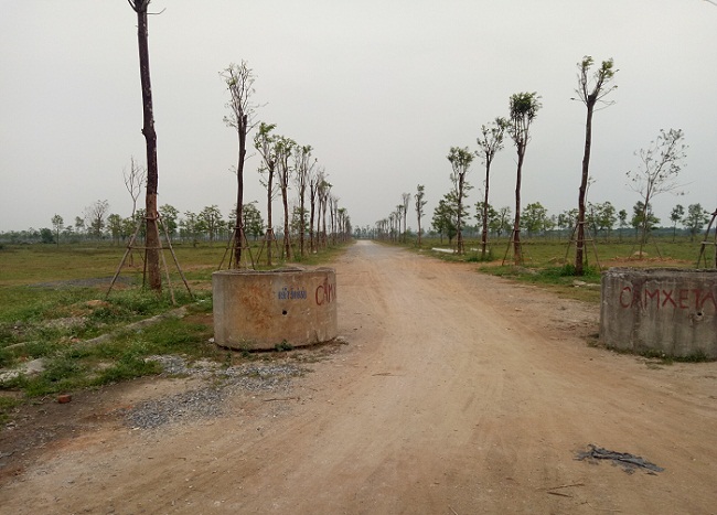 Chị Thu cũng như hàng trăm nhà đầu tư khác không ngờ đầu đón "sóng" lại thành ôm "trái đắng"