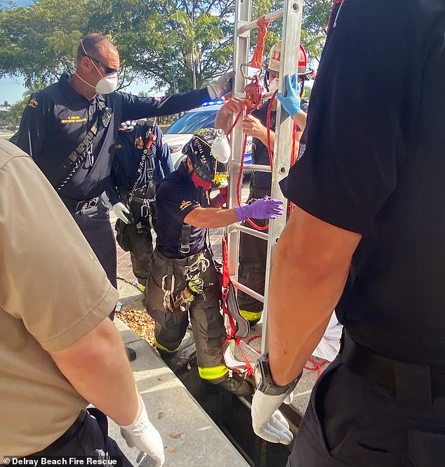 Nhân viên cứu hộ dùng thang và dây buộc để giải cứu người phụ nữ. Ảnh: Delray Beach Fire Rescue