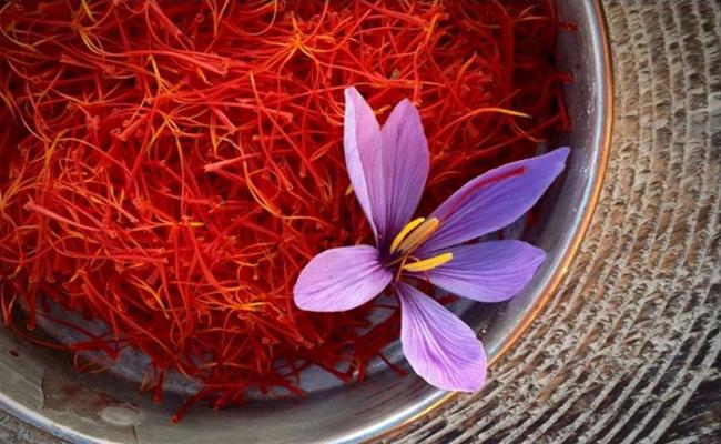 Saffron được thu từ nhụy của hoa nghệ tây (Crocus). Đây là loại gia vị đắt nhất thế giới bởi tính năng thảo dược và giá trị ẩm thực của nó.
