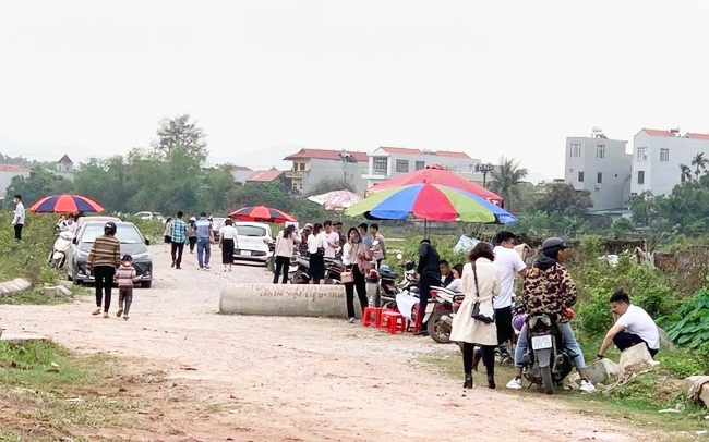 UBND tỉnh Bắc Giang cảnh báo tình trạng "sốt đất ảo"&nbsp; tại nhiều địa phương