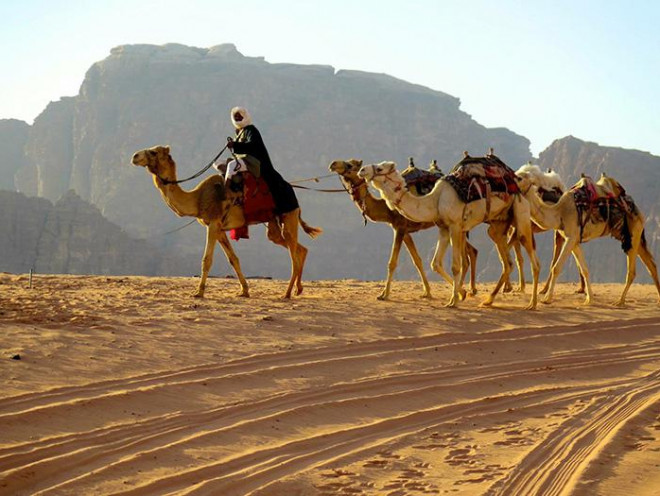 Nổi tiếng với lối sống bán du mục truyền thống, người Bedouin luôn được phần còn lại của thế giới quan tâm. (Ảnh: Arabamerica)