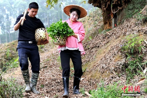 Hai vợ chồng Kha Gia Hoa và Chu Tích kiên trì với định hướng của minh. -&nbsp;Ảnh của Trương Kim Xuyên