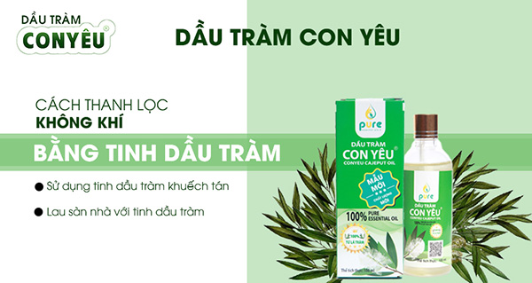 5 mẹo nhỏ lọc không khí tại gia đình cực nhanh và dễ áp dụng - 1