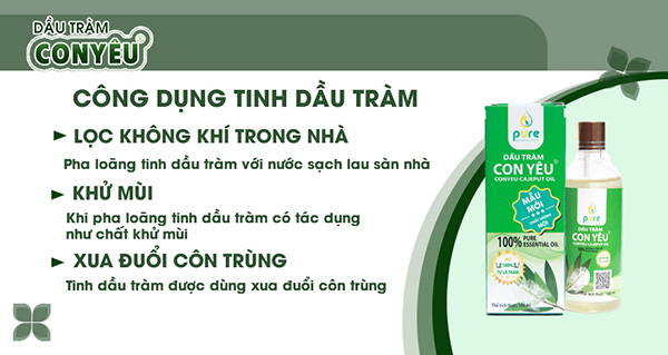 5 mẹo nhỏ lọc không khí tại gia đình cực nhanh và dễ áp dụng - 2