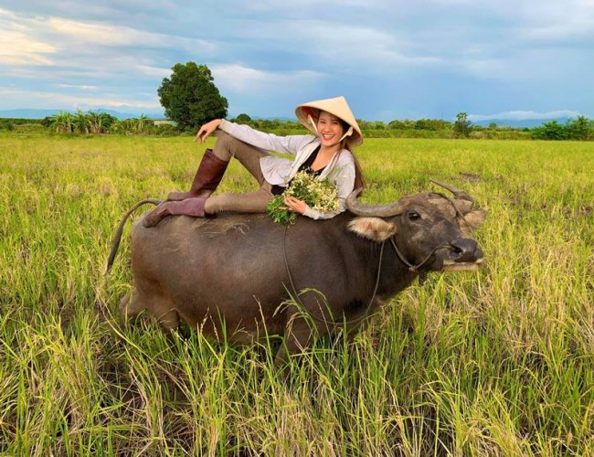 Ngay cả hình ảnh chăn trâu với trang phục lãm lũ của nhà nông, Hương Ly vẫn xinh tươi rạng rỡ.
