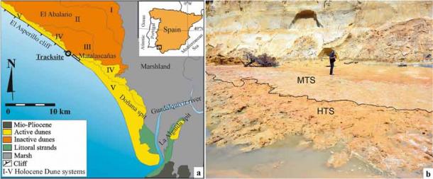 Bờ biển nơi các hóa thạch được phát hiện - Ảnh: NATURE
