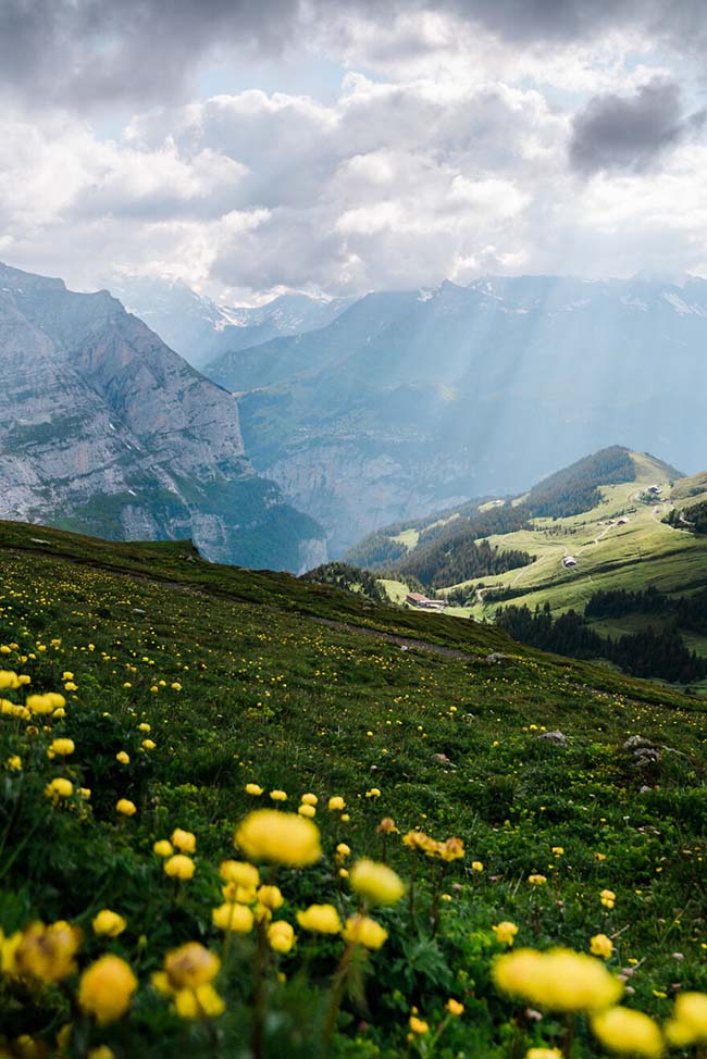 10. Ở dưới chân dãy núi Alps của Thụy Sĩ có nhiều ngôi làng nhỏ như Grindelwald. Đây là nơi bạn hoàn toàn hòa mình vào thiên nhiên, hít thở bầu không khí trong lành của núi rừng.
