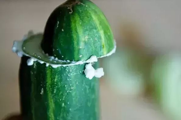 Quả dưa chuột sạch, ít thuốc thì chỉ cần cắt ra bạn có thể cảm nhận được lớp nhựa khá dính. Ảnh minh họa.