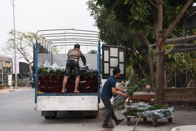 Dọc trục đường Mê Linh, hàng chục xe tải, xe container dừng đỗ để bốc xếp hàng chuyển đi khắp các tỉnh, thành