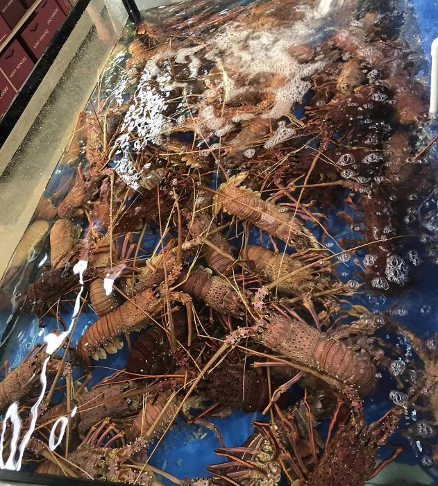 Chỉ trong vài ngày, siêu thị này đã bán được khoảng 500kg.