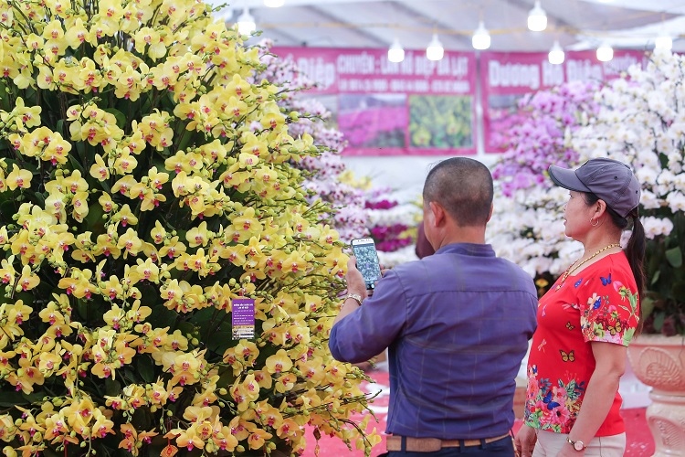 “Tết Nguyên Đán năm nay do ảnh hưởng của dịch bệnh nên công ty mở bán trên cả các trang thương mại điện tử, hiện tại số lượng đơn hàng từ các trang thông tin này đang rất tốt. Tuy nhiên do là hoa tươi nên chúng tôi thường nhận ship trong nội thành hoặc vài tỉnh lân cận. Quá trình vận chuyển cũng cần đóng gói hàng kỹ lưỡng hơn” – anh Quang Hùng, đại diện một cửa hàng lan hồ điệp ở Hà Nội cho biết.