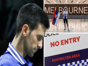 Thể thao - Chùm ảnh Djokovic &quot;lạc lối&quot; ở sân bay, nguy cơ bị cấm dự Australian Open