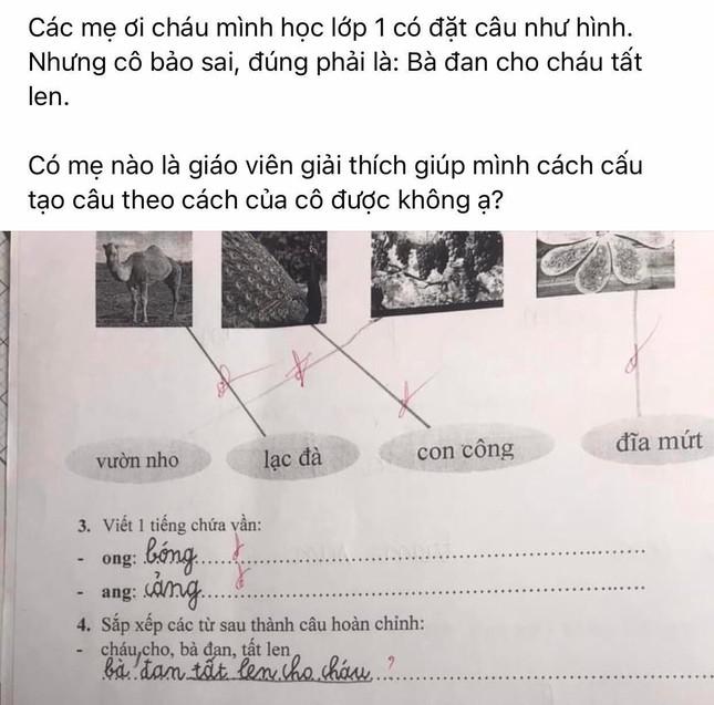 (Ảnh: Cộng đồng học sinh Tiểu học)