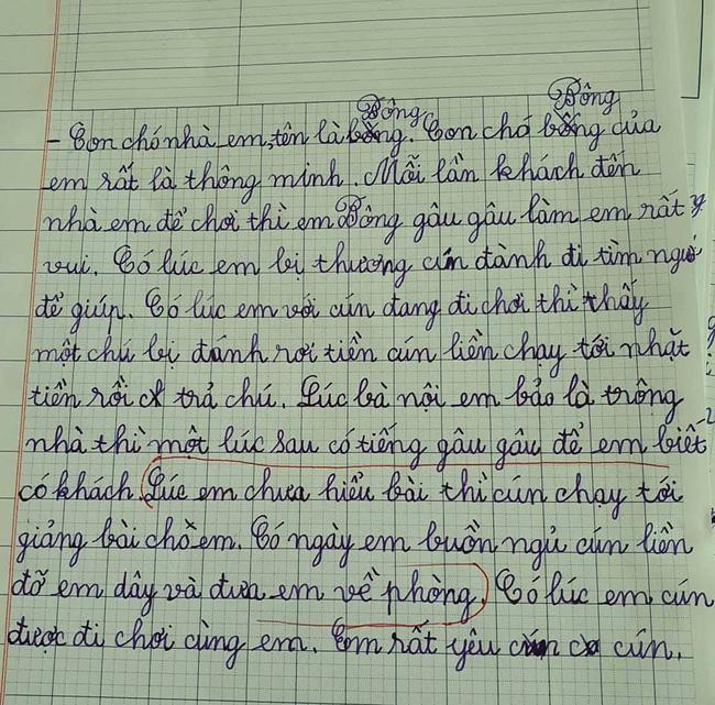 Học sinh tiểu học làm văn miêu tả cún cưng, dân tình càng đọc càng thấy &#34;sai sai&#34; - 1