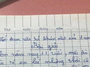 Giáo dục - du học - Nghỉ dịch ở nhà, cậu bé viết văn tự bóc phốt bản thân khiến dân tình cười ngất