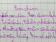 Giáo dục - du học - Học sinh lớp 1 viết văn tả con chim khiến cộng đồng mạng hoảng hốt vì quá đột biến