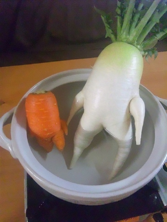 Củ cải và củ cà rốt này có hình dáng như người đang thư giãn trong bồn tắm sau một giờ làm việc đầy căng thẳng và mệt mỏi.
