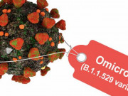 Sức khỏe đời sống - Omicron: nguy cơ tử vong giảm 90% so với Delta, nhập viện giảm một nửa