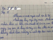 Bạn trẻ - Cuộc sống - Học sinh tiểu học &quot;bóc phốt&quot; loạt tật xấu của anh trai, câu cuối bất ngờ &quot;bẻ lái&quot; ngoạn mục