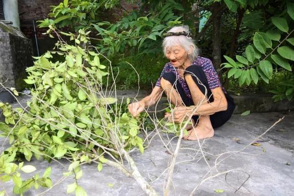 Bài văn miêu tả vườn nhà bà toàn dấu huyền khiến cộng đồng mạng ngạc nhiên lẫn cảm động - hình ảnh 6