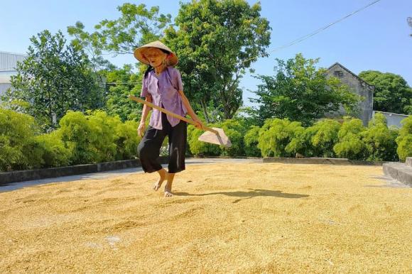 Bài văn miêu tả vườn nhà bà toàn dấu huyền khiến cộng đồng mạng ngạc nhiên lẫn cảm động - 2