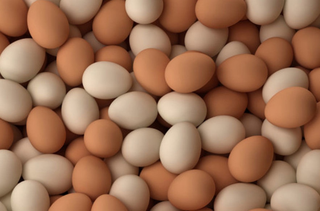 Người tiêu dùng khi mua trứng chim trĩ có thể chế biến theo nhiều cách như: luộc, chiên hoặc nấu cháo mà vẫn giữ nguyên được giá trị dinh dưỡng.

