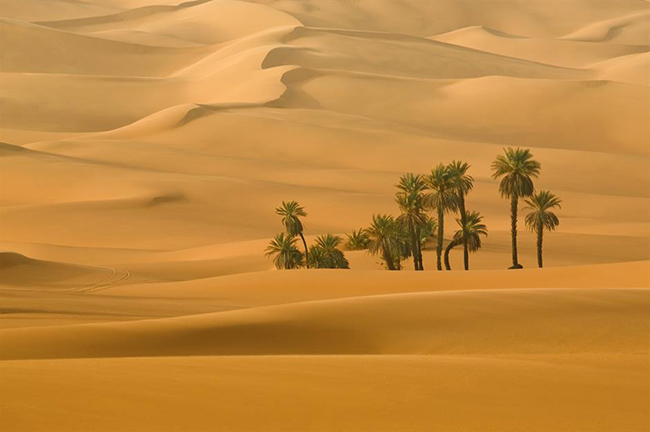 El Azizia, Libya -&nbsp;48°C: Thị trấn nhỏ này luôn nằm trong top những nơi nóng nhất trên thế giới trong 90 năm, sau khi nhiệt độ ghi nhận lên tới 58°C vào năm 1922. Trung bình nhiệt độ những ngày giữa mùa hè ở nơi đây có lúc lên tới mức 48°C.
