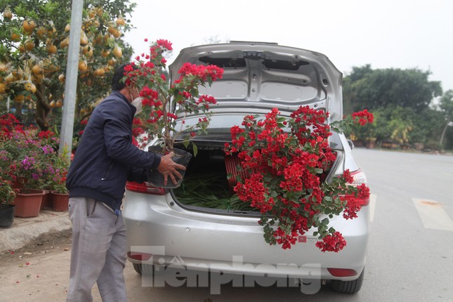 Trung bình một gia đình ở thôn Giới Tết bán hoa dịp Tết có thể thu về từ 20 - 30 triệu đồng/ngày