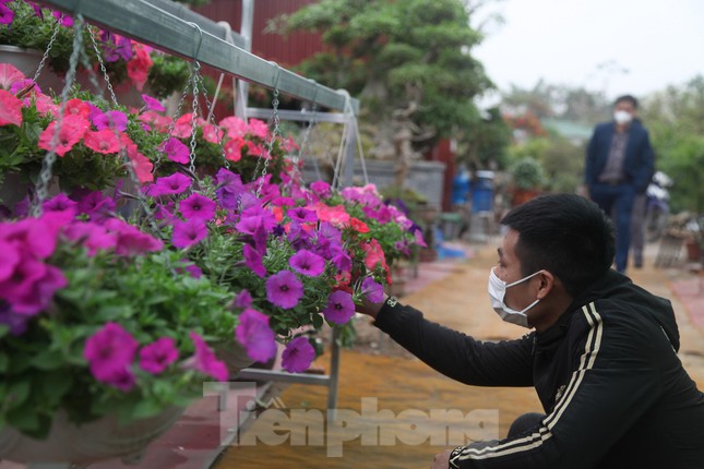 Đến nay, toàn thôn có gần 500 hộ (chiếm 40% số hộ) tham gia trồng hoa cây cảnh; trong đó, hàng chục cơ sở trồng hoa có diện tích chuyên canh từ 4.000 đến 8.000m2