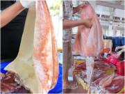 Thị trường - Tiêu dùng - Mực khổng lồ &quot;như quái vật&quot; ở Việt Nam, 640.000 đồng/kg hàng có bao nhiêu cũng hết