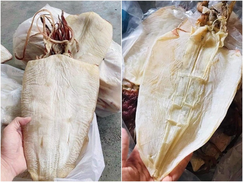 Trên chợ mạng còn có cả mực lá đại dương phơi khô, giá bán 640.000 đồng/kg
