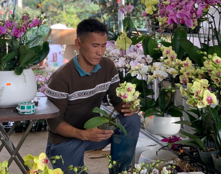 Làm không hết việc, 8x Thái Nguyên thu 20 triệu mỗi ngày dịp cận tết - 4