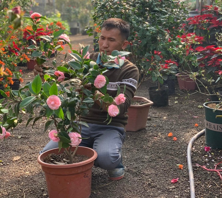 Làm không hết việc, 8x Thái Nguyên thu 20 triệu mỗi ngày dịp cận tết - 3