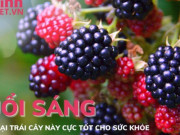 Sức khỏe đời sống - Buổi sáng ăn 5 loại quả này cực tốt cho sức khỏe