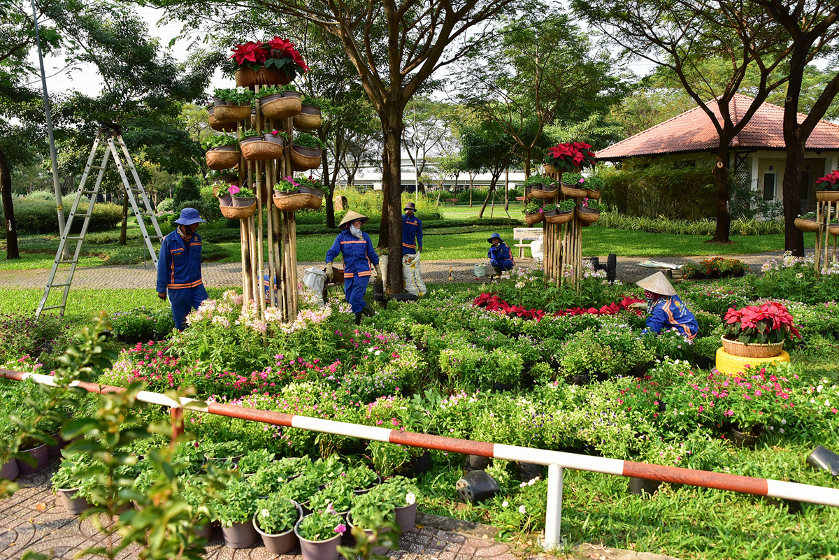 Trong nhiều ngày qua, các khu vực công viên từ lớn đến nhỏ, nút giao thông… trên địa bàn thành phố nhiều nhóm công nhân công ty cây xanh tất bật trang trí bằng nhiều chậu hoa đủ loại sắc màu, tô điểm thêm các không gian xanh.