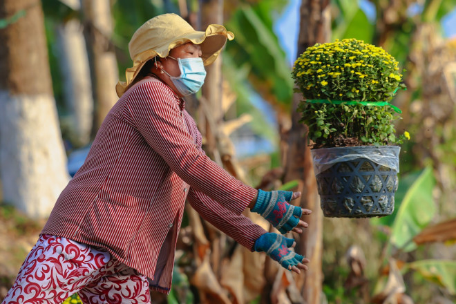 Người tung kẻ hứng.