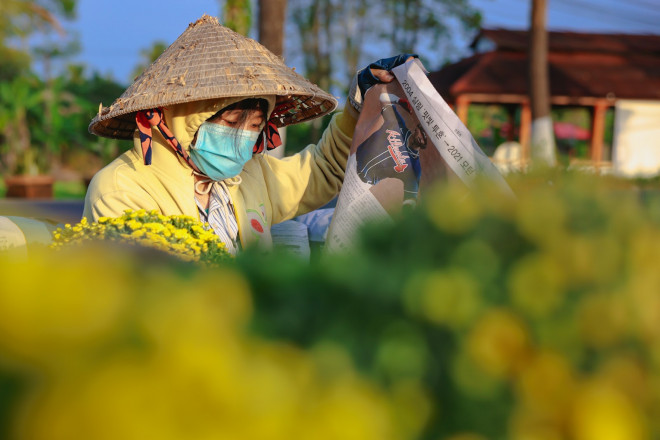 Trải qua thời gian hơn một thế kỷ, làng hoa Sa Đéc vẫn giữ được sự yên bình, chân chất của miền Tây.