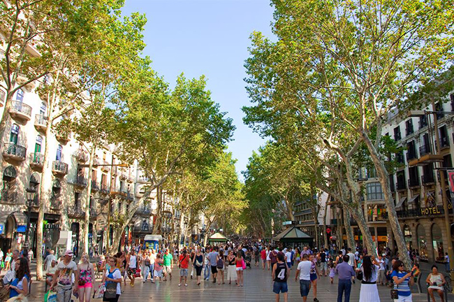 La Rambla, Barcelona, Tây Ban Nha: Đây là một trong những con đường du lịch nổi tiếng nhất thế giới, một con phố dài nối Placa de Catalunya với tượng đài Cristopher Columbus ở Port Vell.&nbsp;
