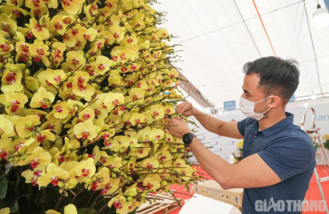 "Trong gần 10 năm làm nghề, đây là tác phẩm lớn nhất, kỳ công nhất mà tôi từng thực hiện. Riêng chậu cây đã có đường kính 1,5m và phải đặt làm riêng trước 3 tháng có họa tiết khảm trai vảy rồng. Hy vọng rằng tác phẩm sẽ tìm được chủ nhân xứng tầm với giá trị của nó", anh Nghiệp chia sẻ.