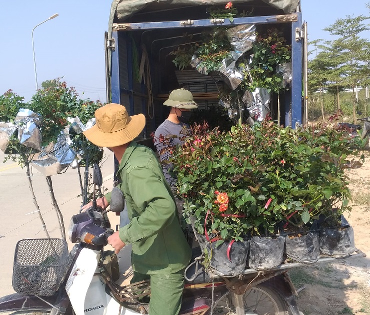 Những ngày cận tết lượng khách hàng đổ về đây khá đông