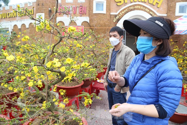 “Năm nay, thời tiết thuận lợi nên mai phát triển tốt, cây cho nhiều nụ, bông đẹp hơn năm trước, có nhiều loại mai cho khách hàng lựa chọn về kích thước, kiểu dáng, giá cả…” chị Mai Anh cho biết.