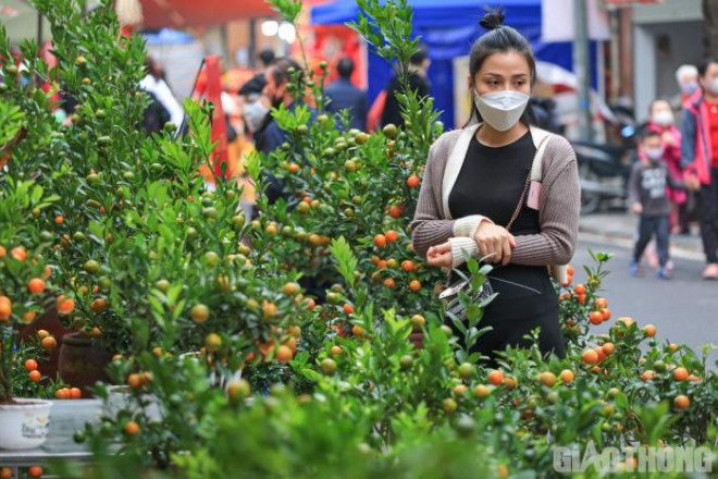 Còn với chị Vương Bích Thủy (quận Hoàn Kiếm) chia sẻ: "Không khí mua bán tại chợ hoa Xuân năm nay ảm đạm hơn hẳn so với mọi năm. Các loại hoa, cây cảnh cũng không phong phú, đa dạng khiến tôi rất khó lựa chọn".