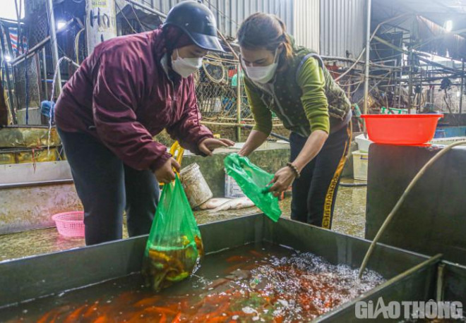 Có nhiều năm buôn cá tại chợ Yên Sở, chị Nguyễn Thị Huế cho biết giá nhập các loại cá năm nay cao hơn so với năm ngoái, dao động từ 210.000 đồng đến 230.000 đồng/kg.