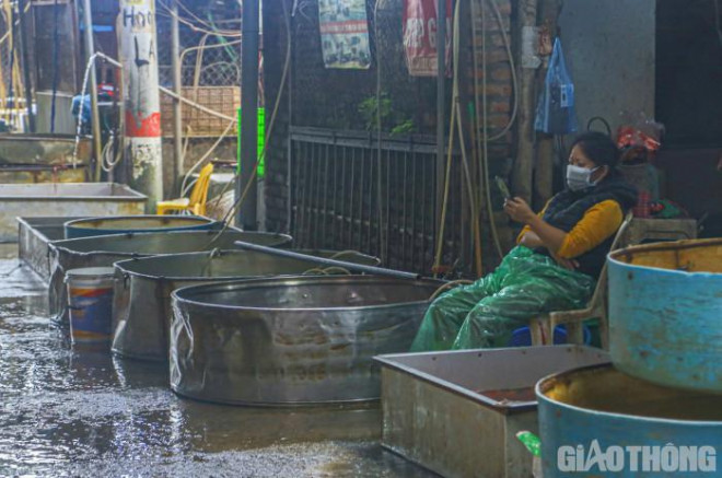 Tương tự, chị Nguyễn Thị Hà (tiểu thương tại chợ cá Yên Sở) cho hay giá cá chép cúng đang có xu hướng tăng lên theo từng ngày. Nguyên nhân là do ảnh hưởng của dịch Covid-19 khiến các chủ nuôi hạn chế sản lượng, dẫn tới nguồn hàng khan hiếm. Trong khi đó, sức mua ở thời điểm hiện tại vẫn tương đối thấp.