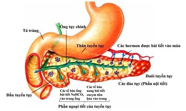 Coi chừng mất Tết vì thức uống quen thuộc của người Việt - 2