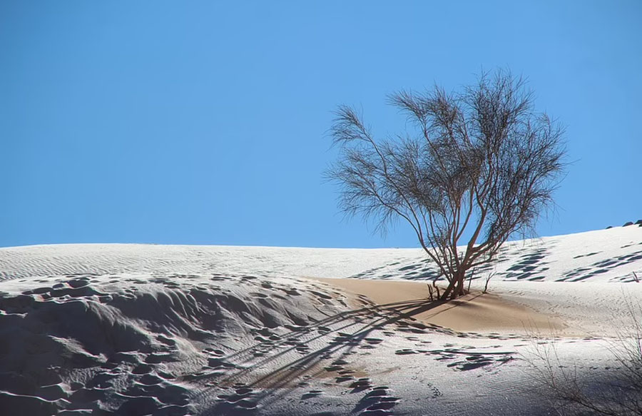 &nbsp;Tuyết rơi, băng phủ trên các cồn cát là một hiện tượng hiếm gặp ở sa mạc lớn nhất thế giới – Sahara, nơi luôn có nhiệt độ cao lên tới 58 độ C.