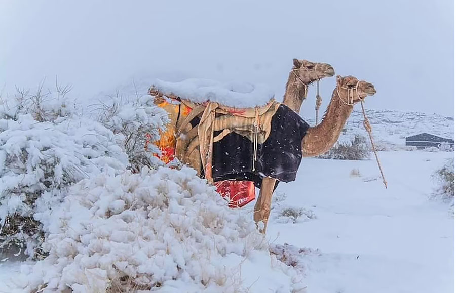 &nbsp;Người dân Saudi Arabia bày tỏ sự vui mừng và phấn khích trước trận tuyết rơi hiếm hoi ở khu vực Aseer của nước này vào năm ngoái.