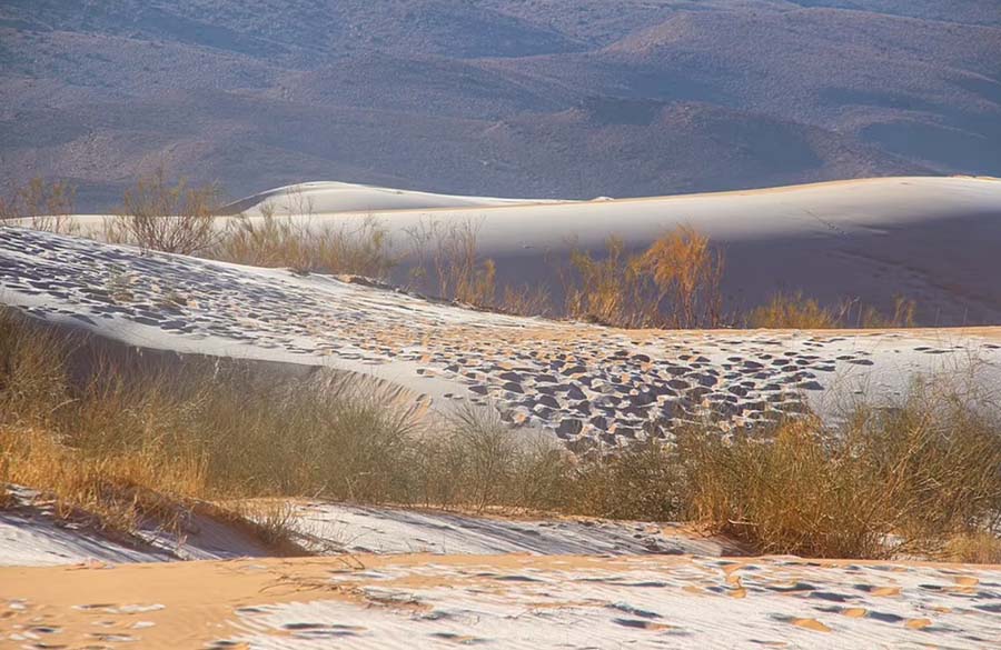 &nbsp;Mặc dù sa mạc Sahara ngày nay rất khô hạn nhưng nó được dự đoán sẽ trở nên xanh tươi trở lại sau khoảng 15.000 năm nữa.