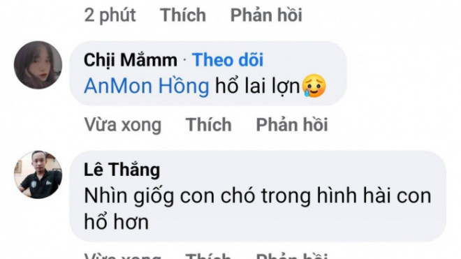 Nhiều bình luận về hình ảnh con hổ sau khi được đăng tải trên mạng xã hội