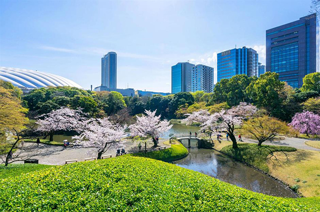 Vườn Koishikawa-Kōrakuen, Nhật Bản: Khu vườn truyền thống của Nhật Bản này là một trong những khu vườn lâu đời nhất ở Tokyo và được hoàn thành vào thời Edo (1603 - 1868). Với các yếu tố thiết kế đặc trưng&nbsp;của Trung Quốc và Nhật Bản, đây là một ốc đảo yên bình&nbsp;giữa sự ồn ào và hiện đại của thành phố.&nbsp;
